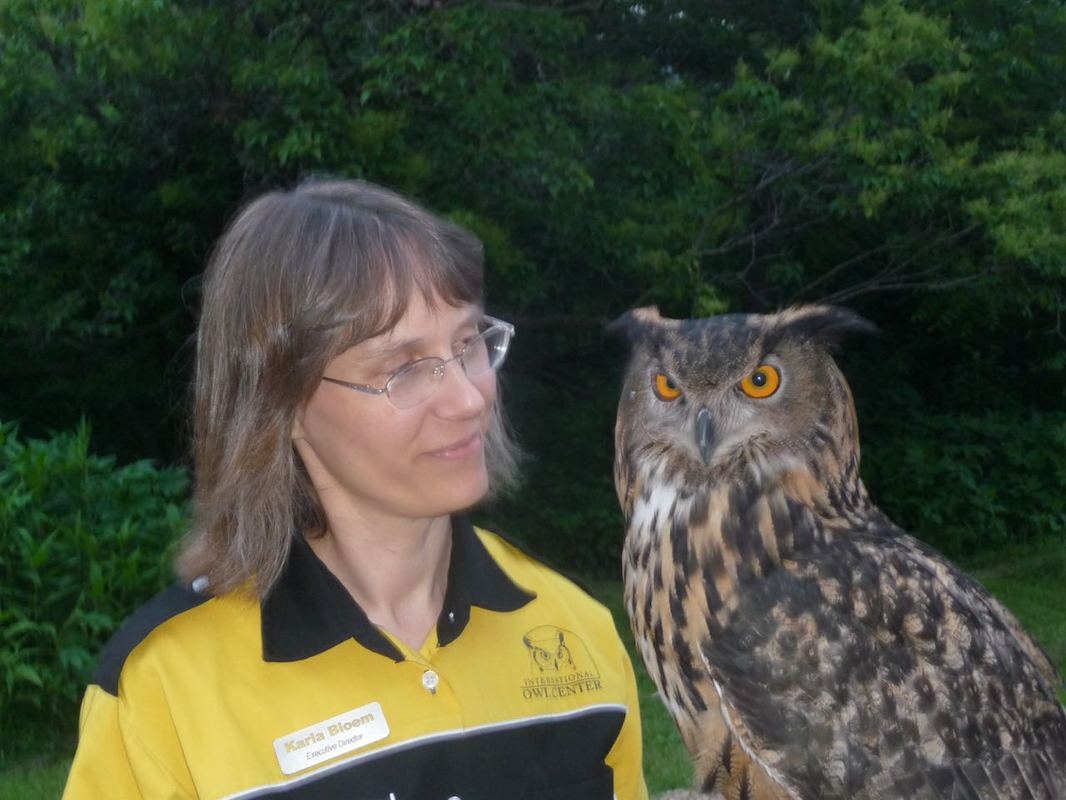 Karla holding Uhu the eurasian eagle owl